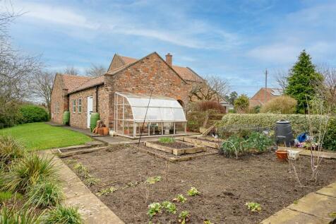 Vegetable Garden