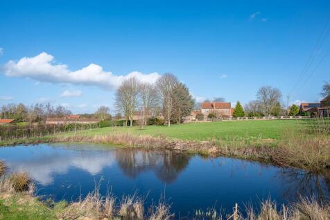 Pond