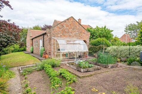 Vegeatable Garden