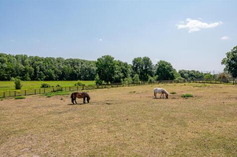 Paddock