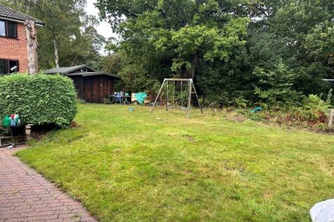 Rear Garden Pic 3
