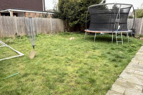 Rear Garden Pic 1