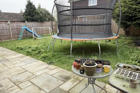 Rear Garden Pic 2
