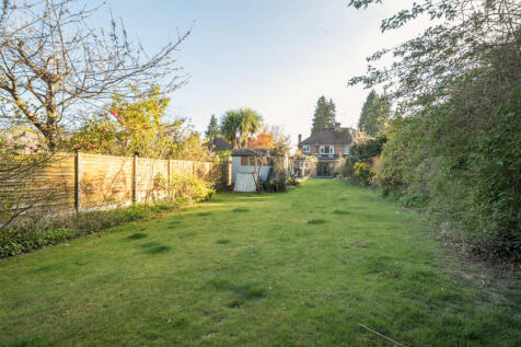 Garden Pic 4