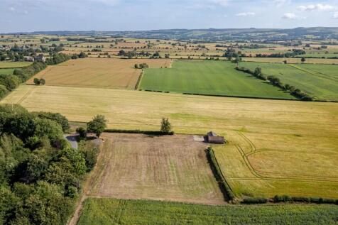 DJI_0538-HDR.jpg