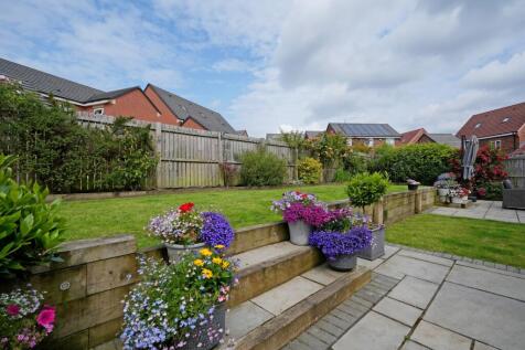 Rear Patio and Garden