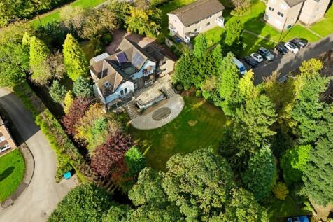 Drone Shot