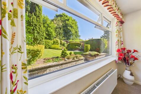 View From Dining Room