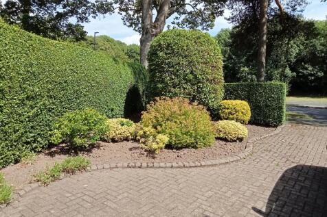 Front driveway and garden