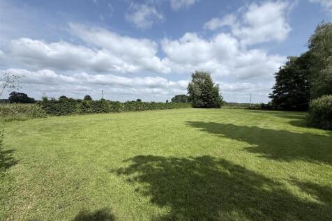 Extensive Rear Garden