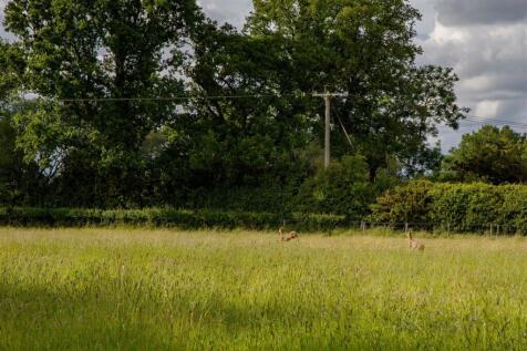 Meadowview-44A.jpg