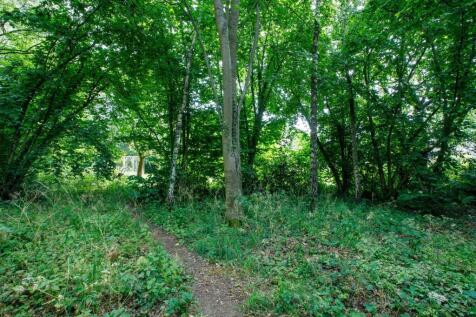 Poplars-35A.jpg