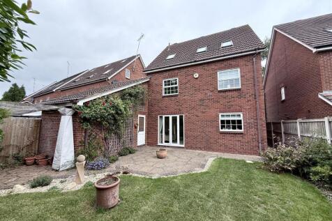Established Rear Garden