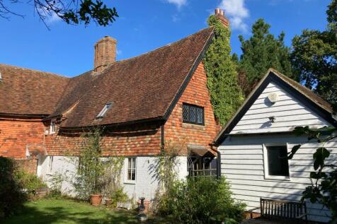 Rear of Property.jpg