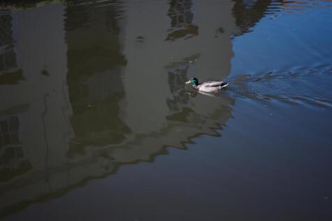 DSC_4168.jpg