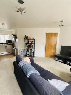 IMG_6592.jpeg