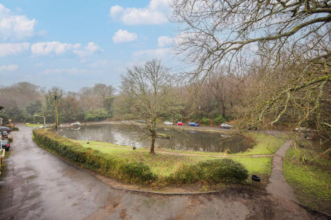 Pond View