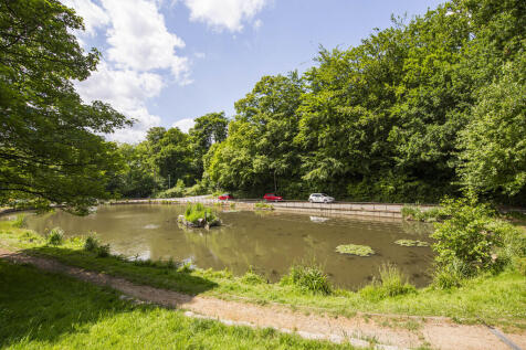 Pond 1