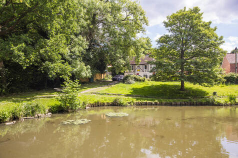 Pond