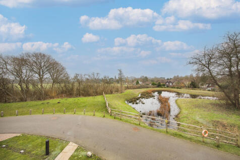 Pond View