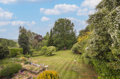 View of garden