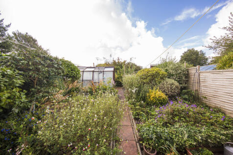 Garden 1