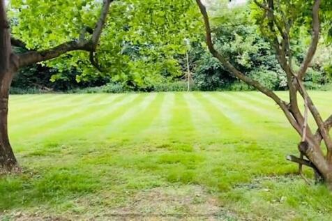 garden new