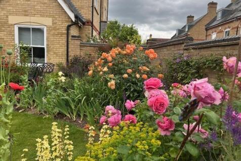 Rear garden 2.jpg