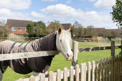 Local neighbour