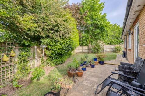 Secluded garden