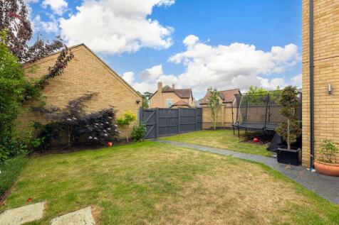 South Facing Garden