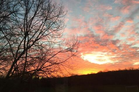 Views
