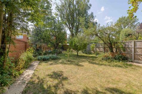 Back garden