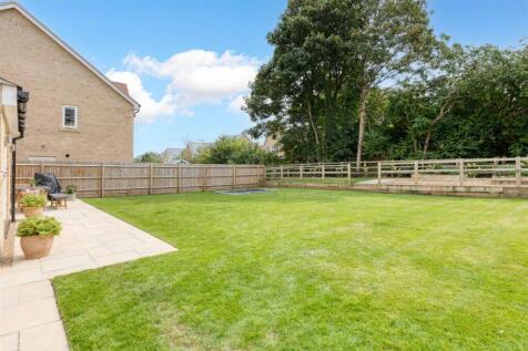 South facing garden