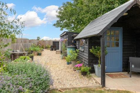 Back garden