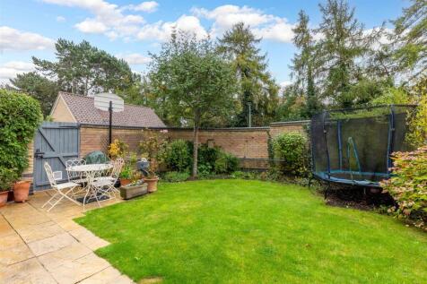 South facing garden