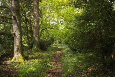 Property Image 20
