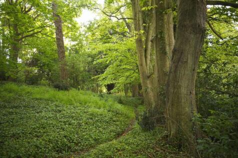 Property Image 30