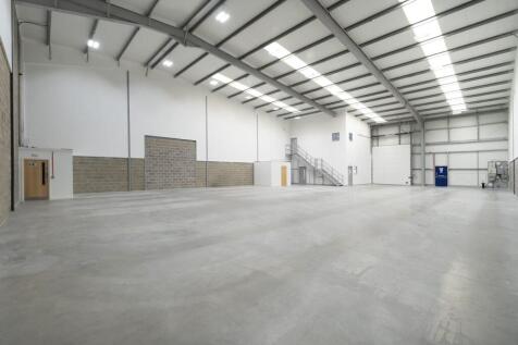 IW260325CAE5565.jpg