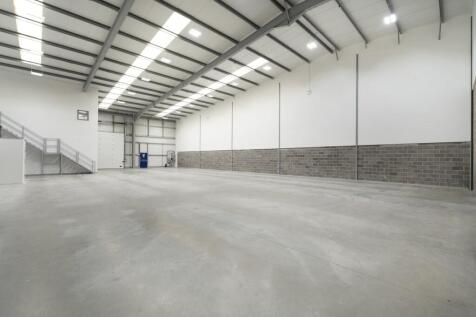 IW260325CAE5571.jpg