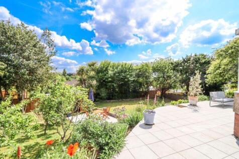 Patio and Garden