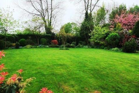 Communal Gardens