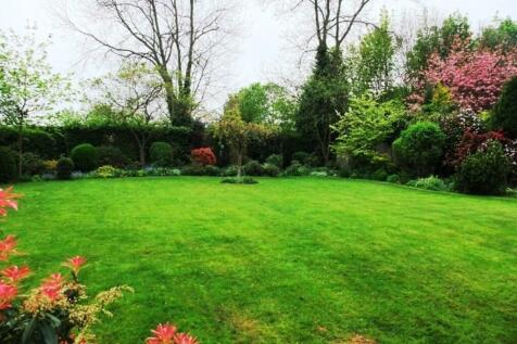 Communal Garden