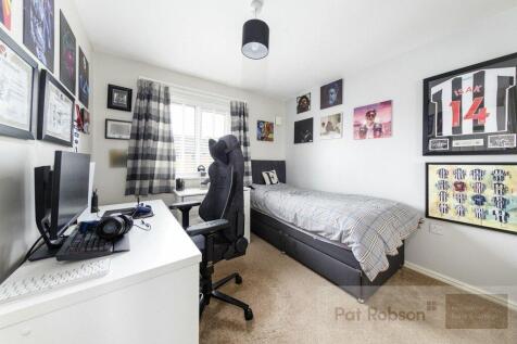 Picture 14