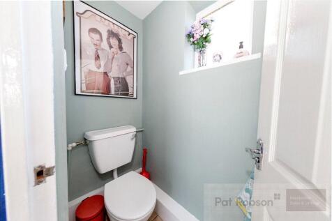 Picture 13