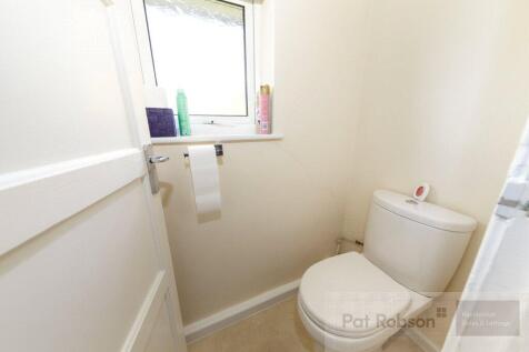 Picture 12