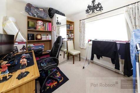 Picture 14