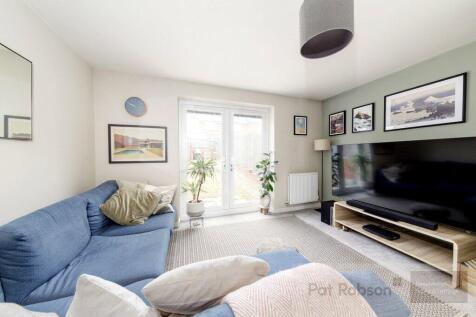 Picture 7