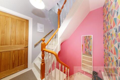 Picture 14