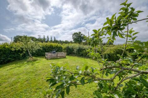 Property Image 46